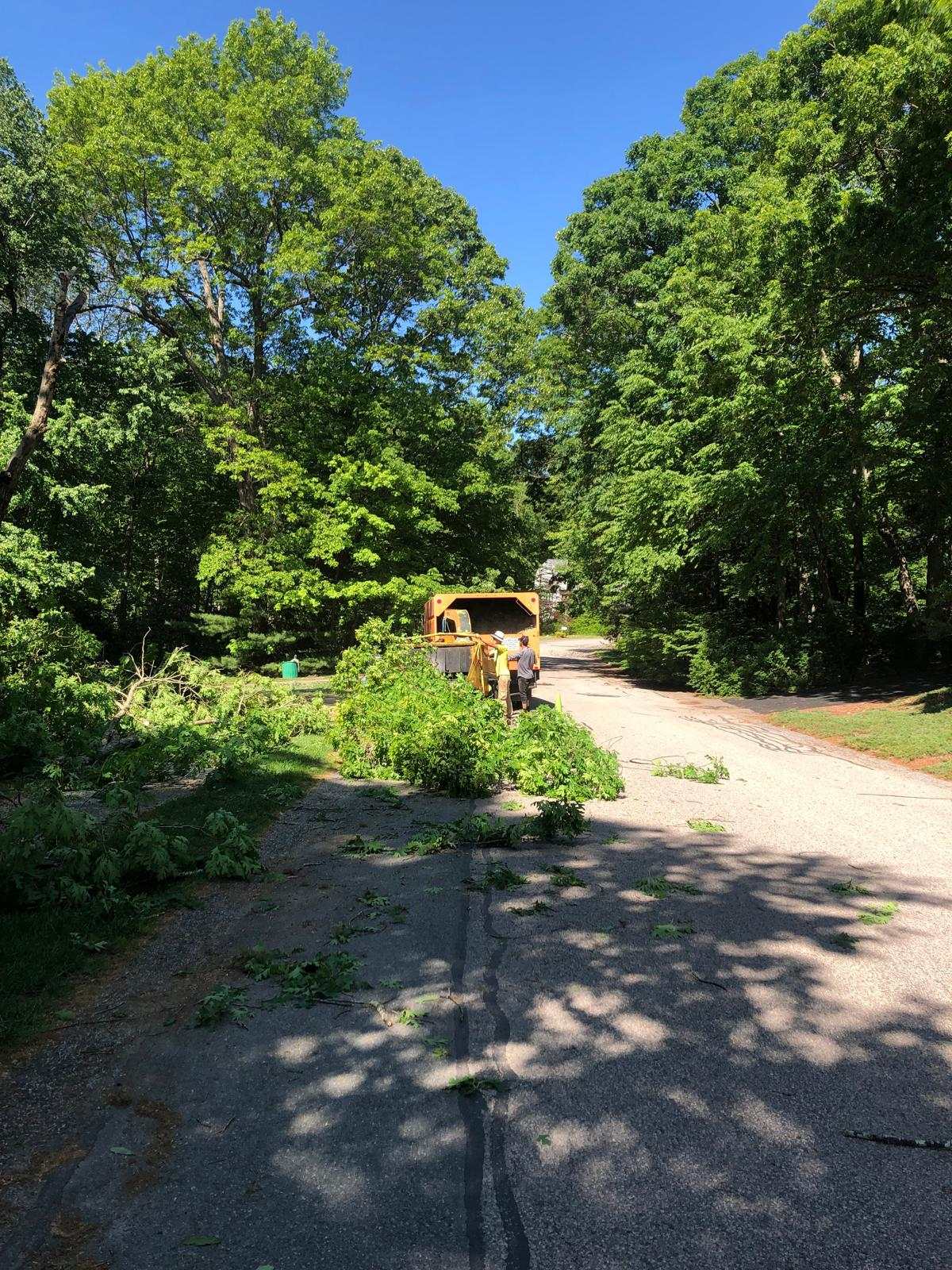 Chipper at the end of a driveway with brush waiting