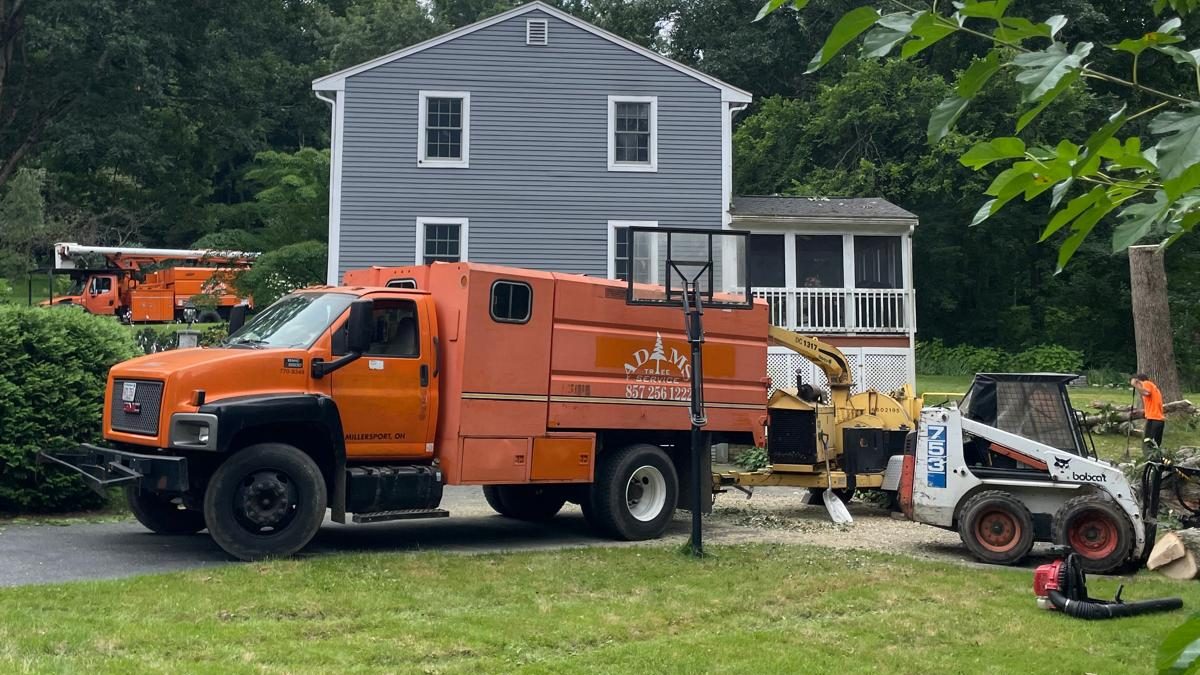 Adam's Tree Service crew with two orange trucks, the chipper and a skid steer at a job beside a house