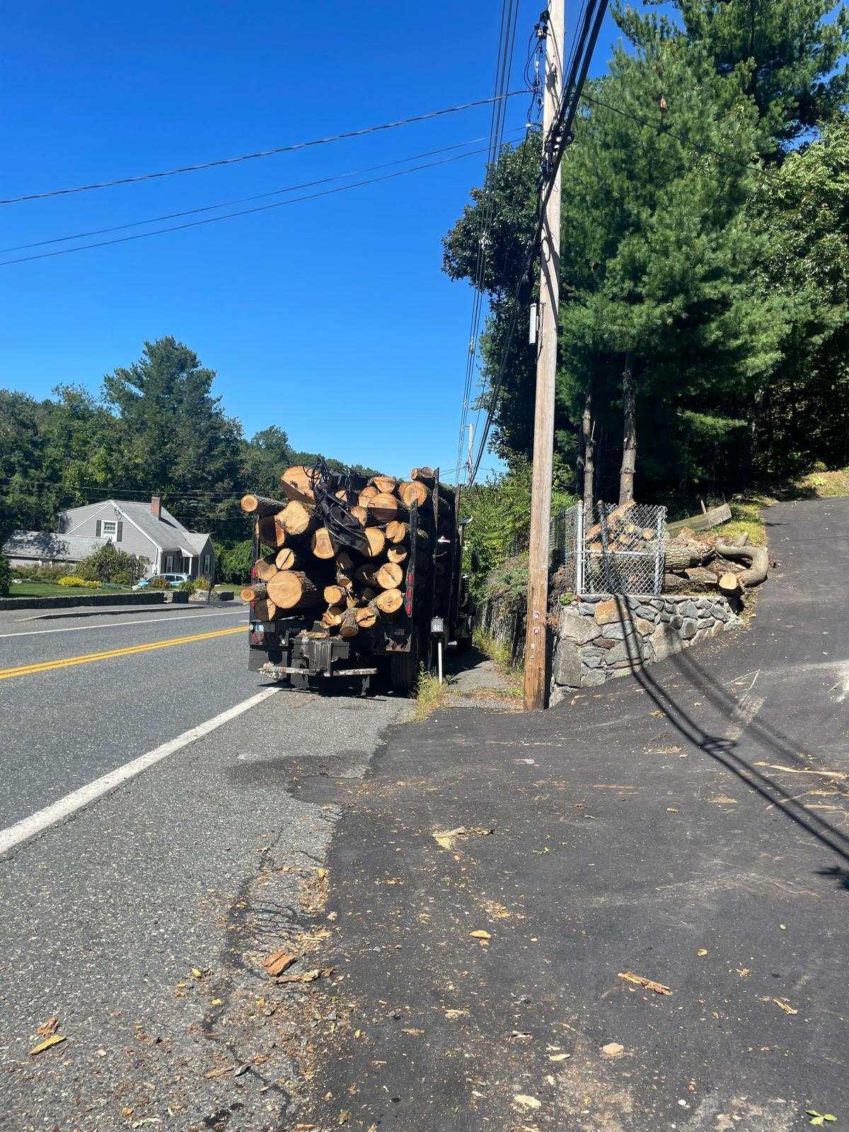 Log truck loaded with full length logs parked at the roadside