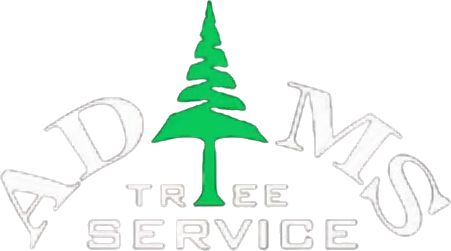 Adam's Tree Service logo